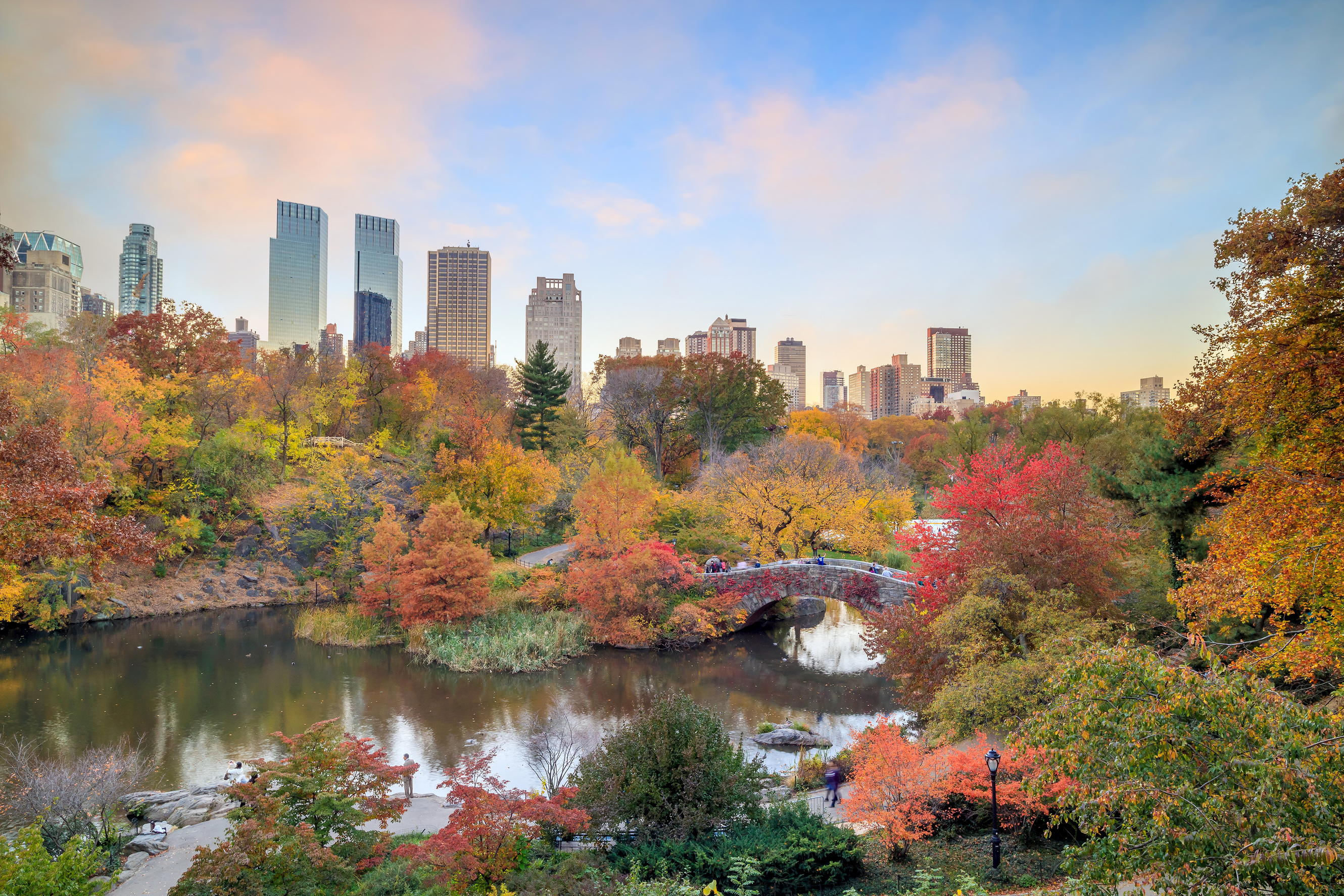 Central Park in Autumn
